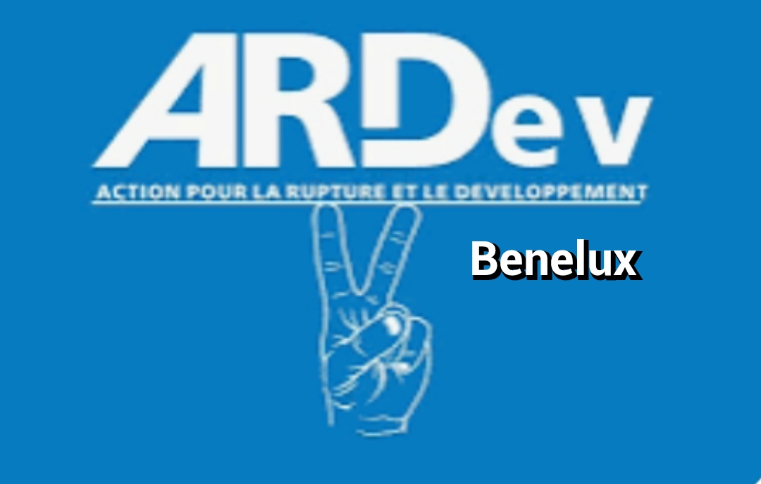 Communiqué de Presse de l’ARDEV Diaspora Benelux Réaction aux déclarations de l’ Honorable Mireille MASANGU de l’UNAFEC